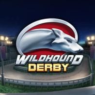 Wildhound Derby game screenshot