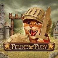 Feline Fury game icon